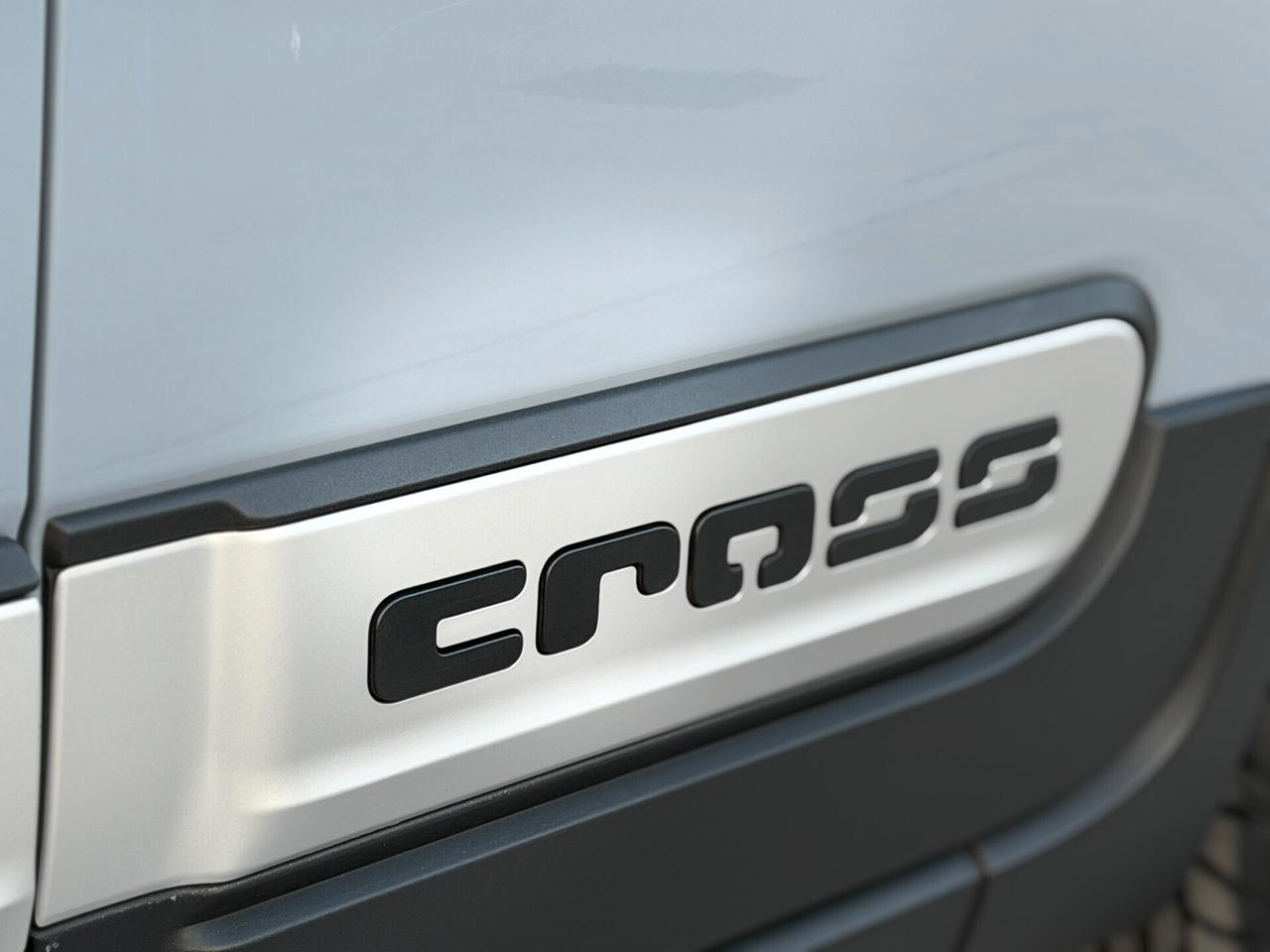 Fiat Panda 1.2 69 CV City Cross S UNICO PROPRIETARIO IVA ESPOSTA