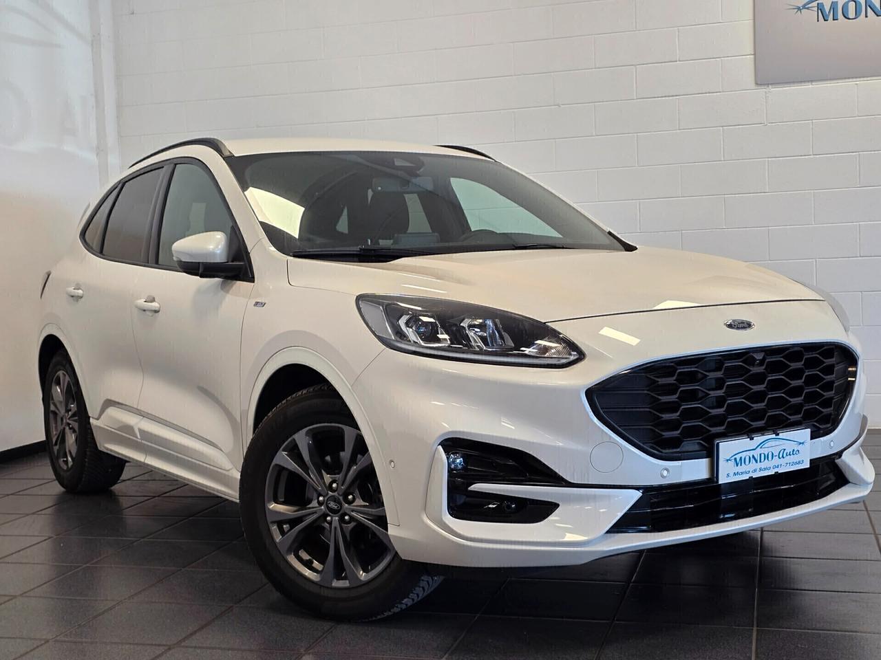 Ford Kuga 1.5 EcoBlue 120 CV aut. 2WD ST-Line X