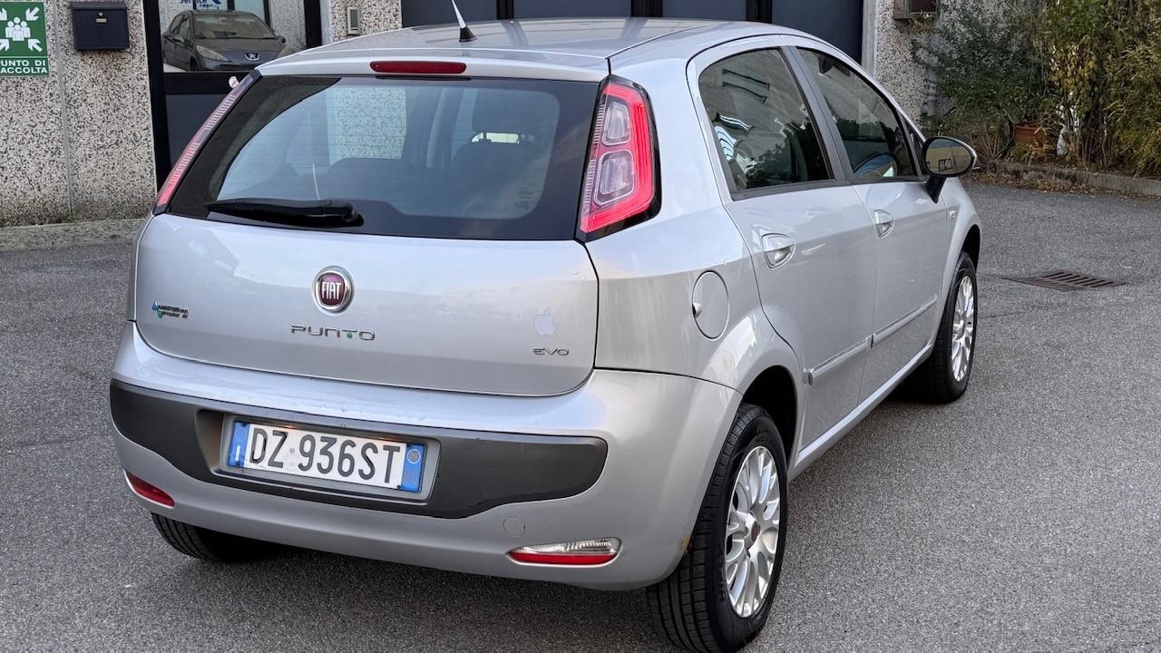 Fiat Punto Evo 1.4 5 porte Active Natural Power