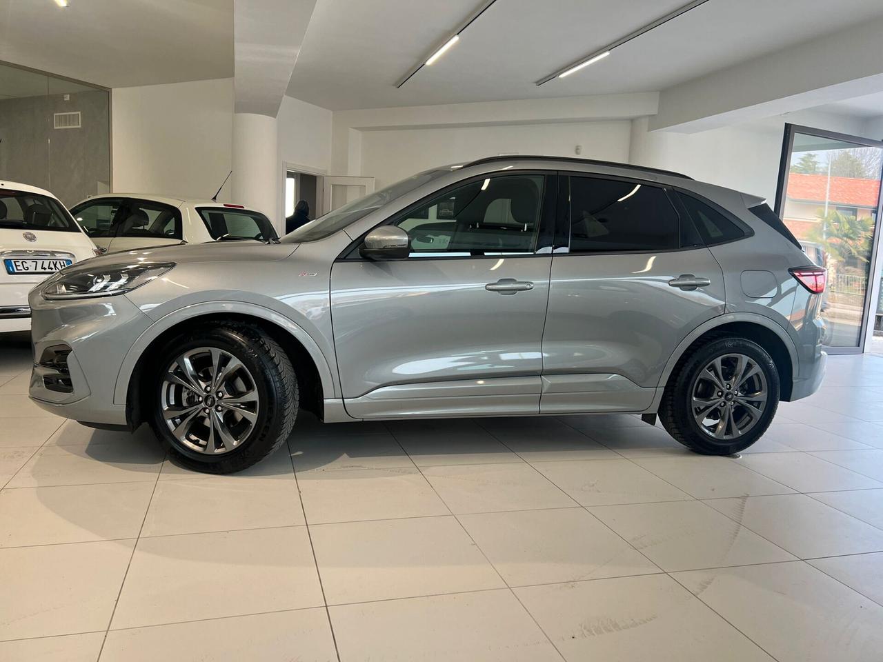 Ford Kuga 1.5 EcoBlue 120 CV 2WD ST-Line