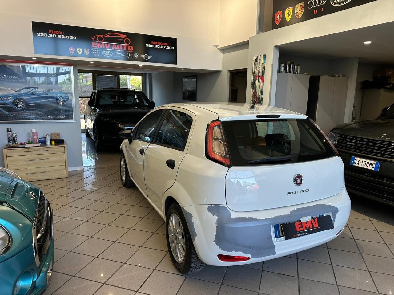 Fiat Punto 1.3 MJT II 75 CV 5 porte Street ok neopatentati