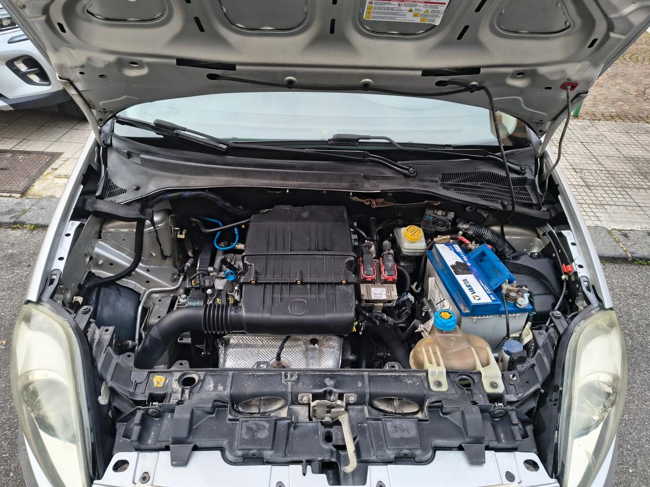 Fiat Punto Evo 1.2 5 porte Active