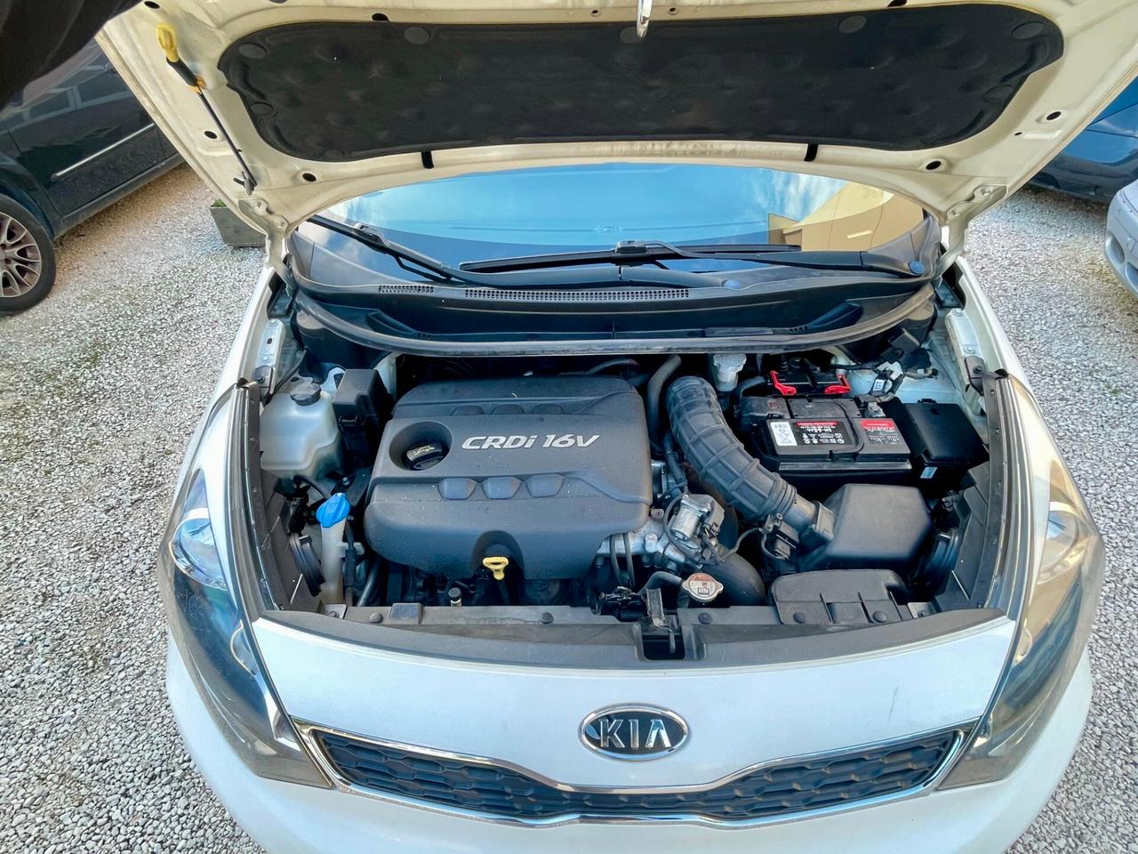 Kia Rio 1.4 CRDi Tagliandata NEOPATENTATI