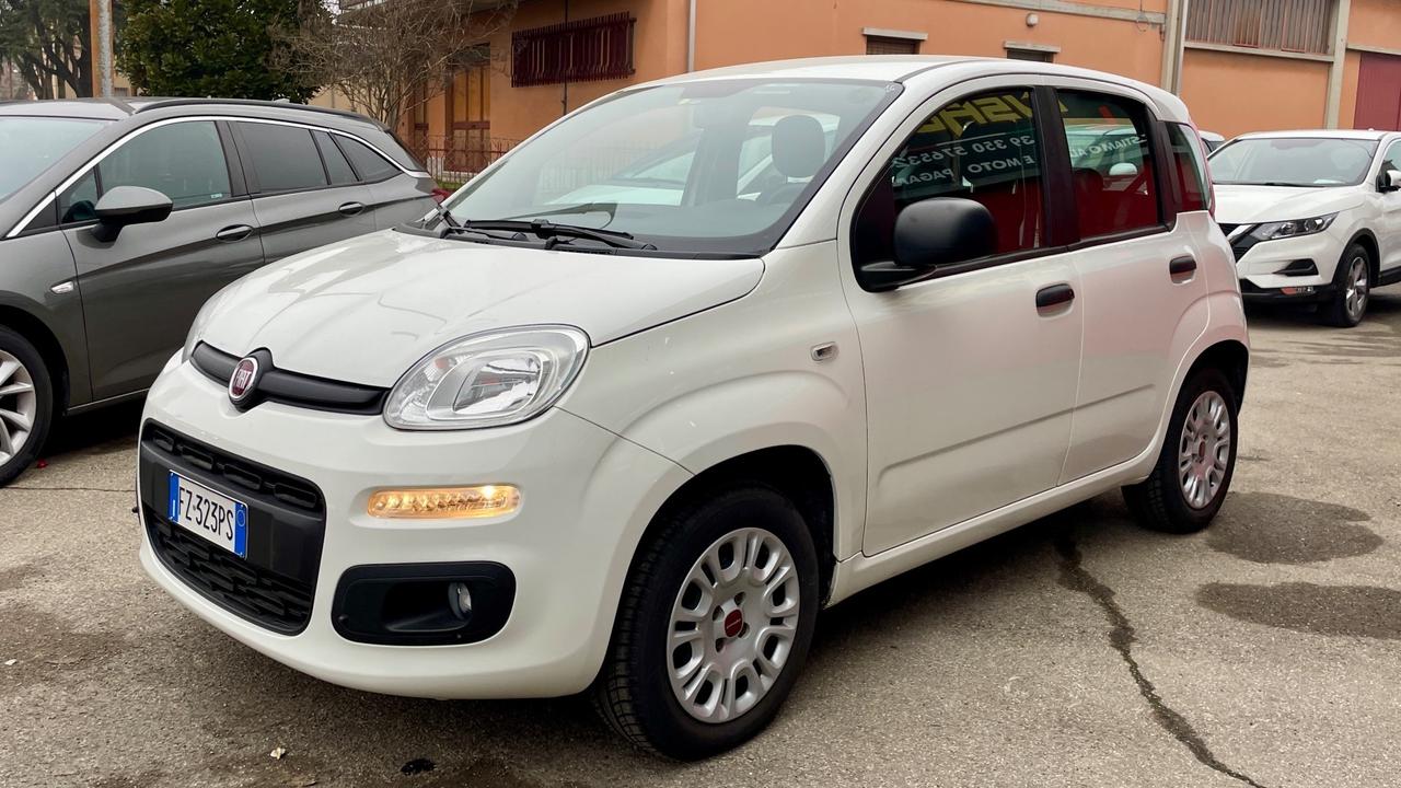 FIAT PANDA 1.2 LOUNGE 69CV 5 POSTI - NEOPATENTATI