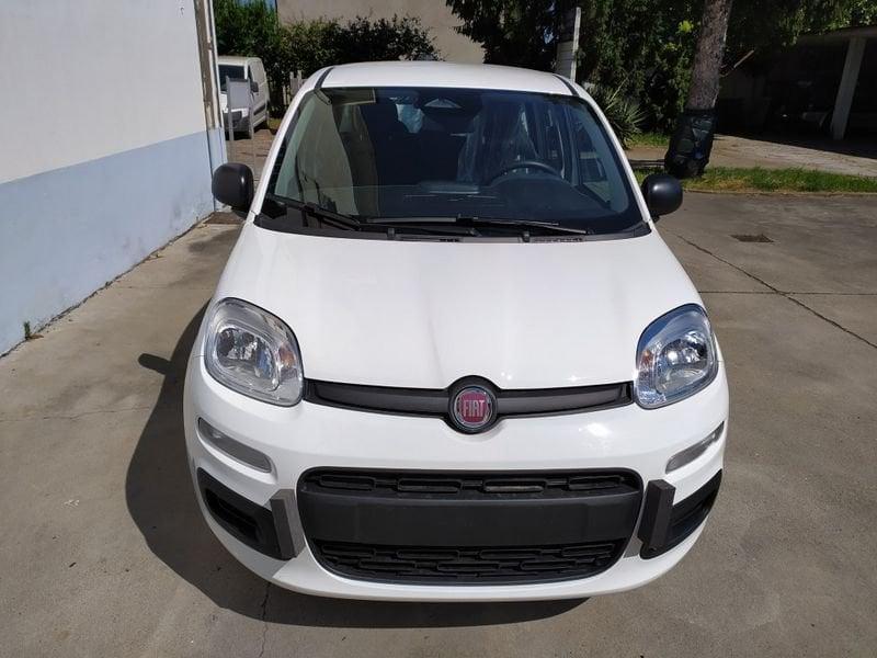 FIAT Pandina 65 Pandina hybrid Icon Promo CBC 5