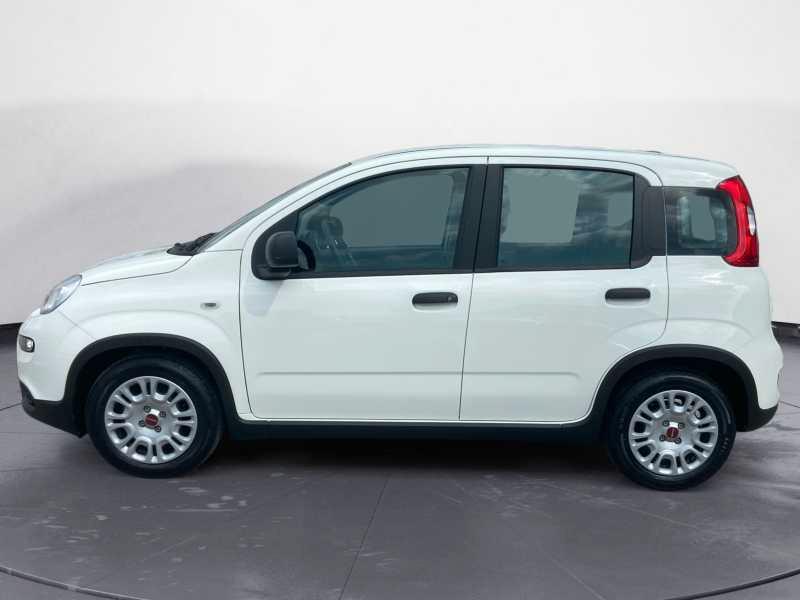 FIAT Panda 1.0 firefly hybrid City Life 70cv 5p.ti