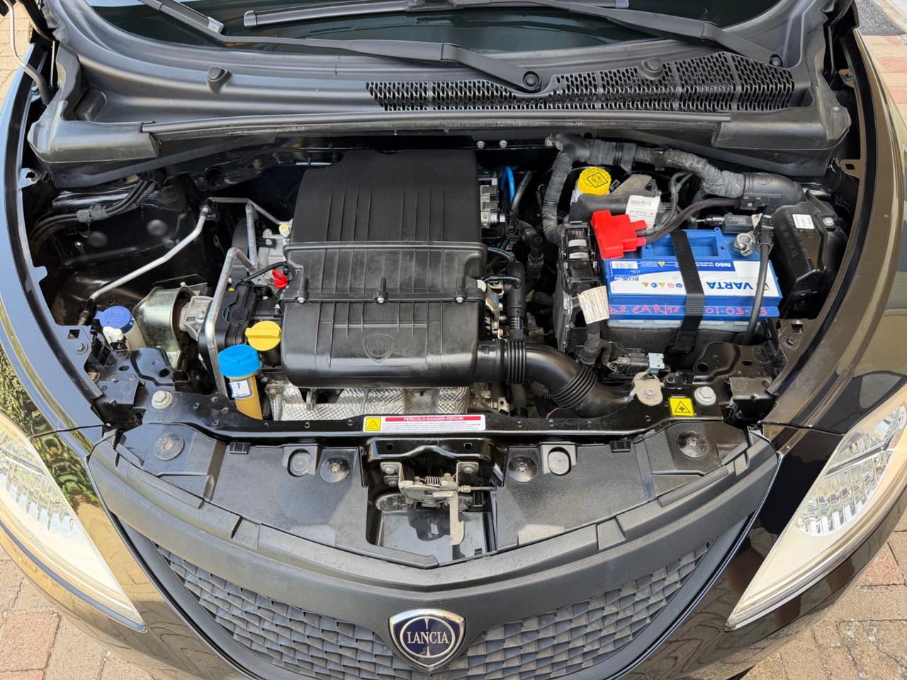 Lancia Ypsilon 1.2 69 CV 5 porte Elefantino Blu