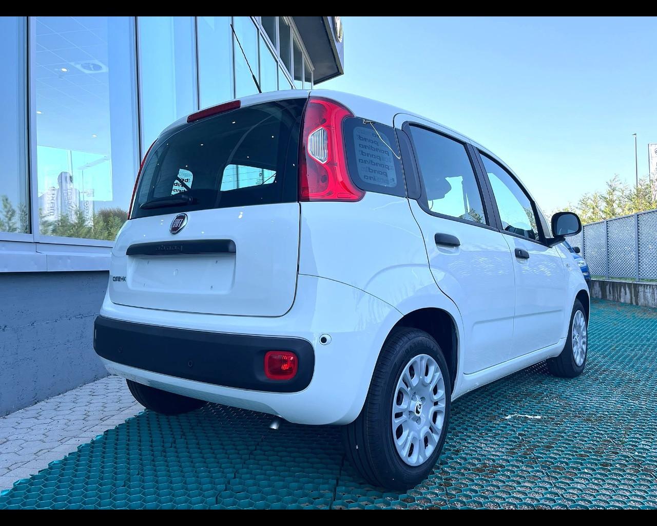 FIAT Pandina III 2024 - Pandina 1.0 firefly hybrid Pop s&s 70cv