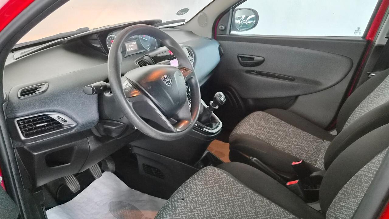 Ypsilon 1.2 69 CV 5 porte Elefantino Blu (NEOPATENTATI)