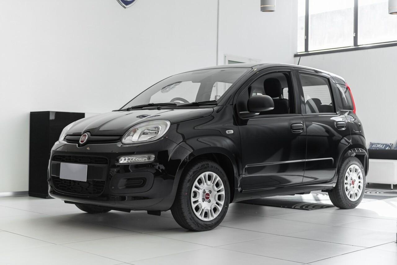 FIAT Panda III 2021 - Panda 1.0 firefly hybrid s&s 70cv