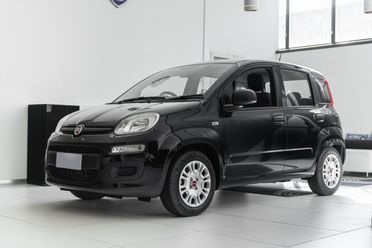 FIAT Panda III 2021 - Panda 1.0 firefly hybrid s&s 70cv
