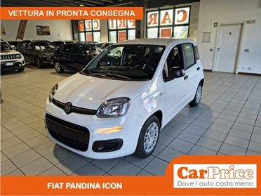 FIAT Pandina 1.0 FireFly 65CV Hybrid Icon (5 Posti)