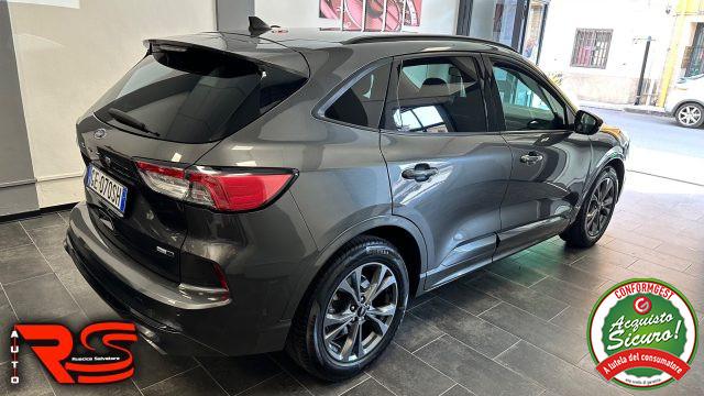 FORD Kuga 2.0 EcoBlue Hybrid 150 CV 2WD ST-Line