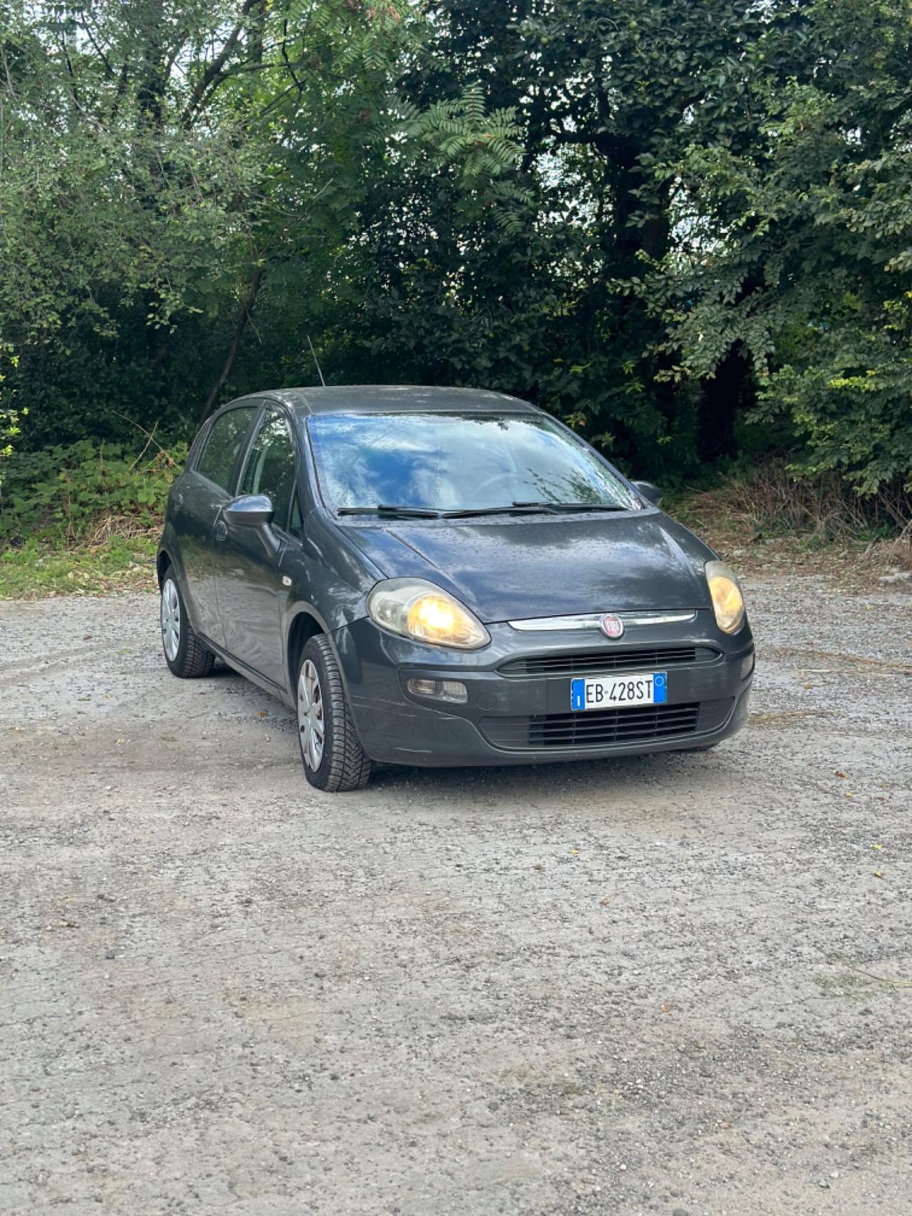 Fiat Punto Evo Punto Evo 1.2 5 porte Active