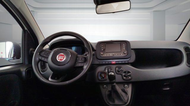 FIAT Panda 1.0 FireFly S&S Hybrid Icon