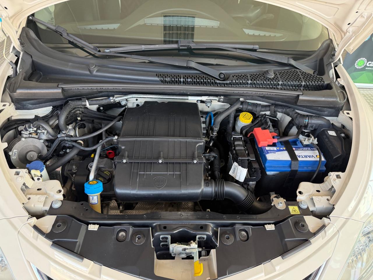 Lancia Ypsilon 1.2 69 CV 5 porte GPL Ecochic Gold