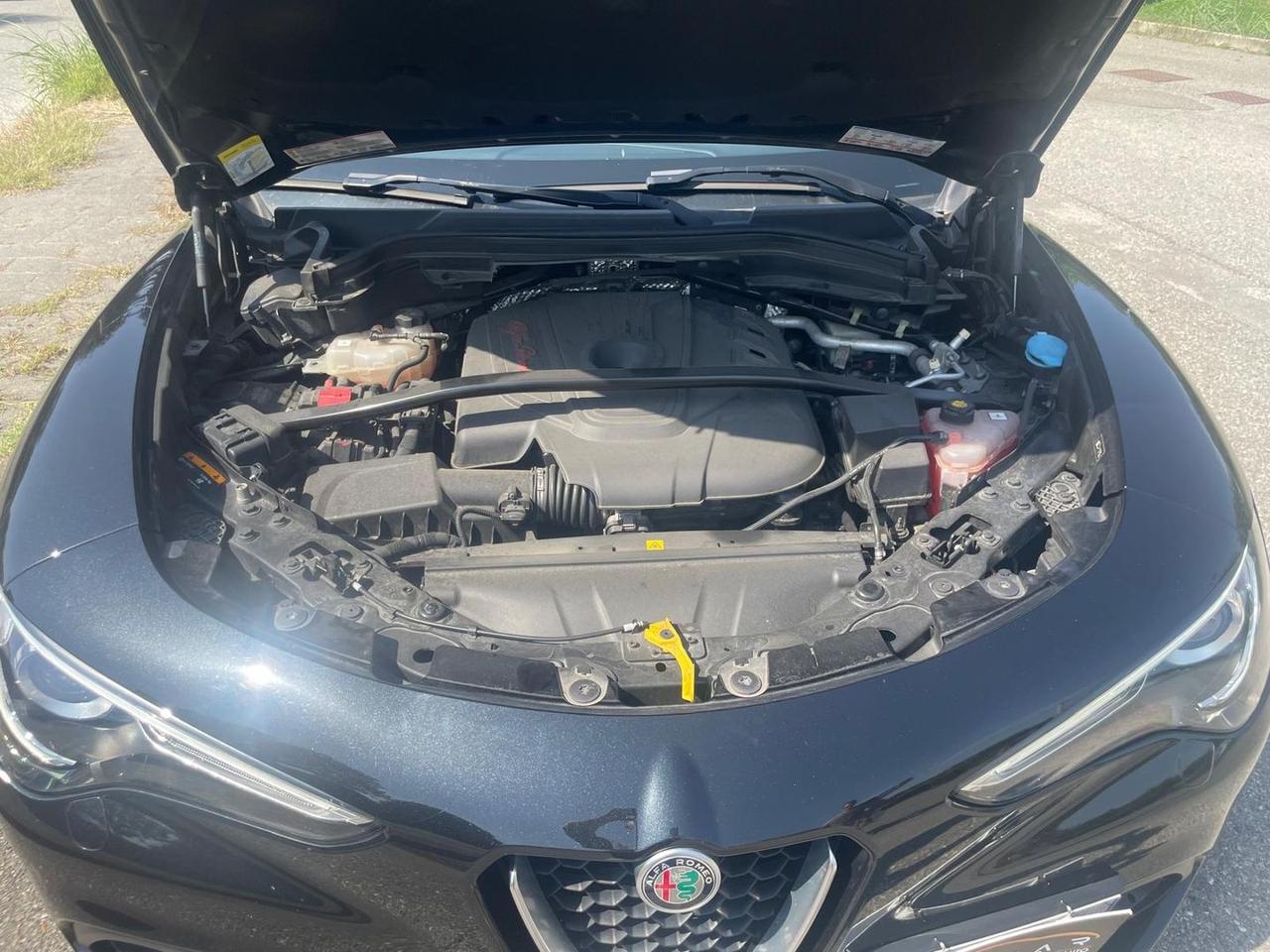Alfa Romeo Stelvio 2.2 Executive #50088