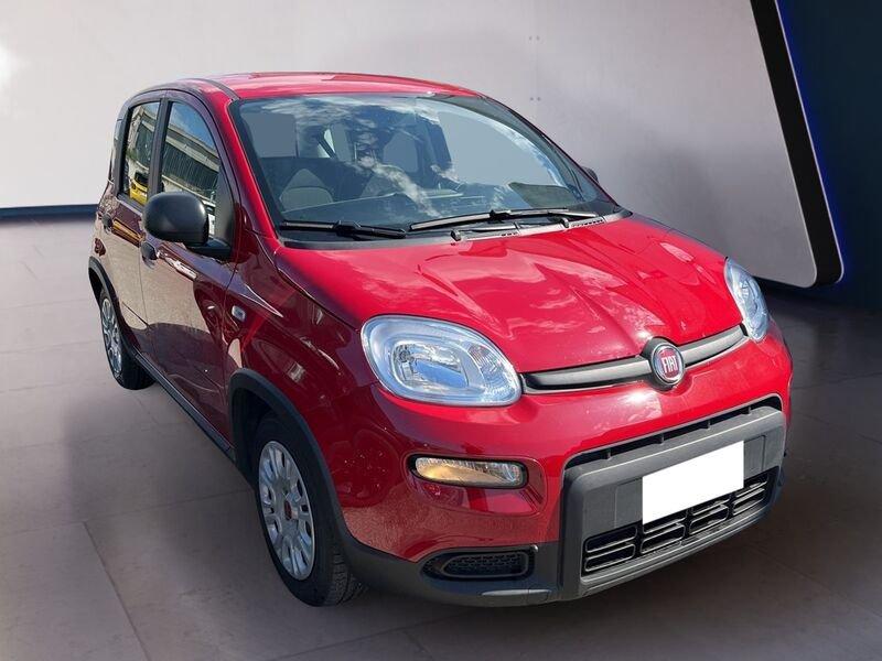 FIAT Panda My24 1.0 70cv Hybrid Panda