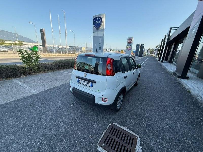 FIAT Panda NEW 1.0 70cv Hybrid PANDA