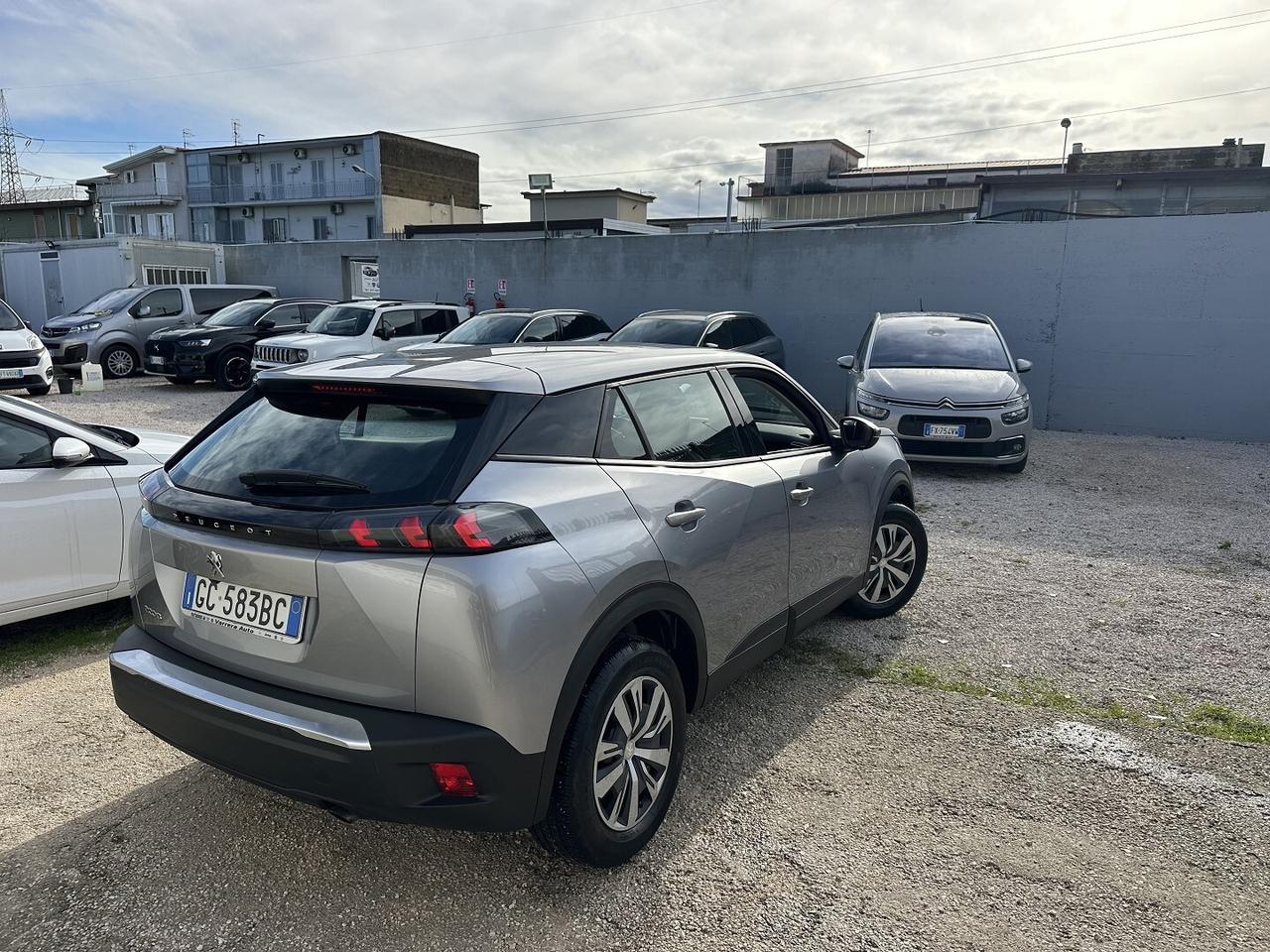 Peugeot 2008 BlueHDi 100 Active Pack Retrocamera