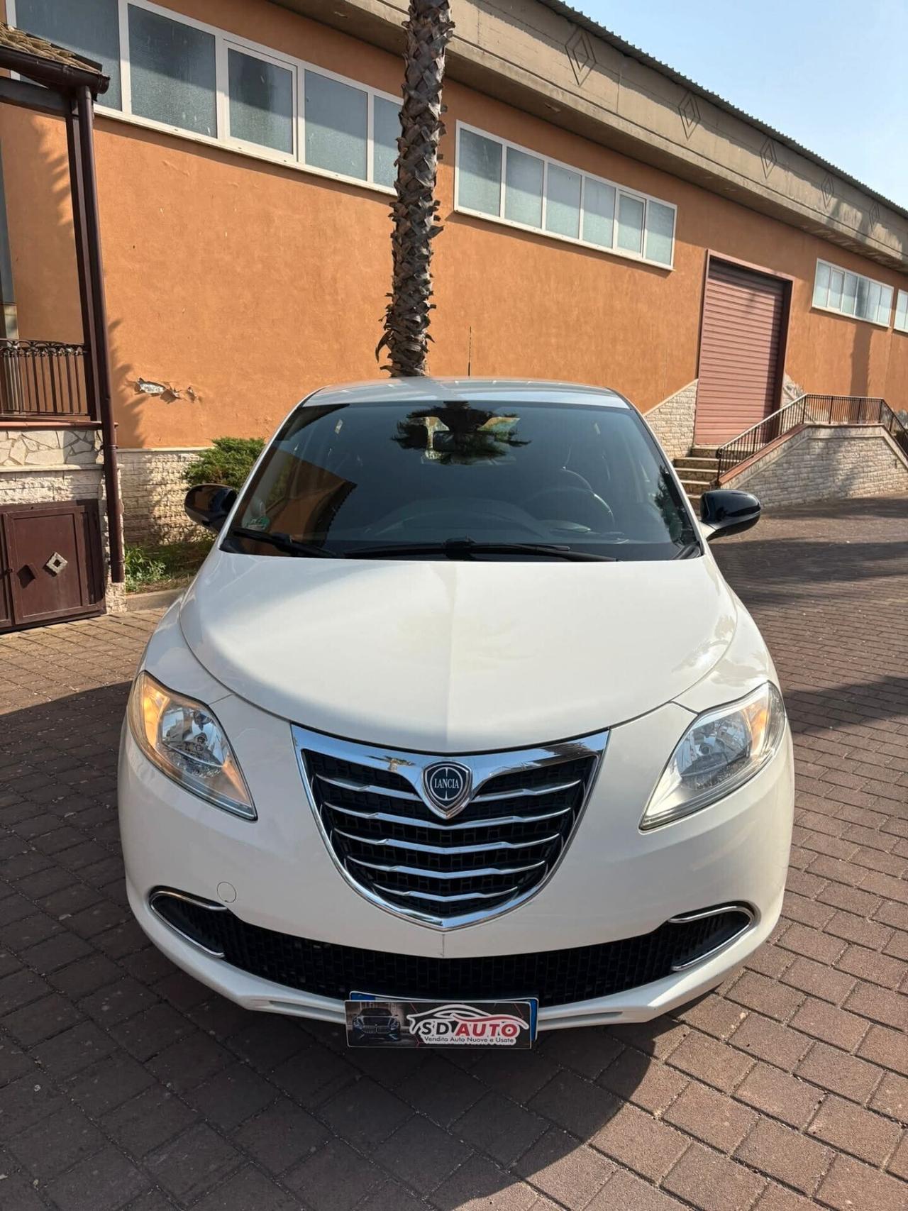 Lancia Ypsilon 1.3 MJT 16V 95 CV 5 porte S&S Platinum//