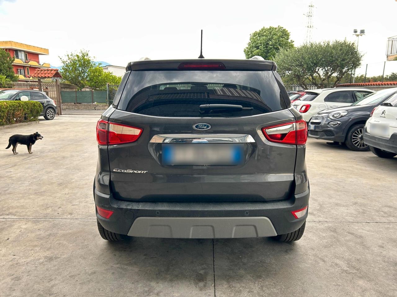 Ford EcoSport 1.0 Benzina 100CV - 2019 Motore Rotto