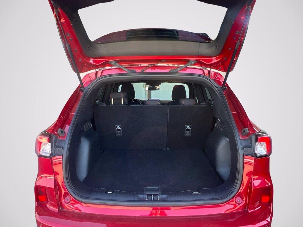 FORD Kuga 1.5 EcoBlue 120 CV aut. 2WD ST-Line del 2022