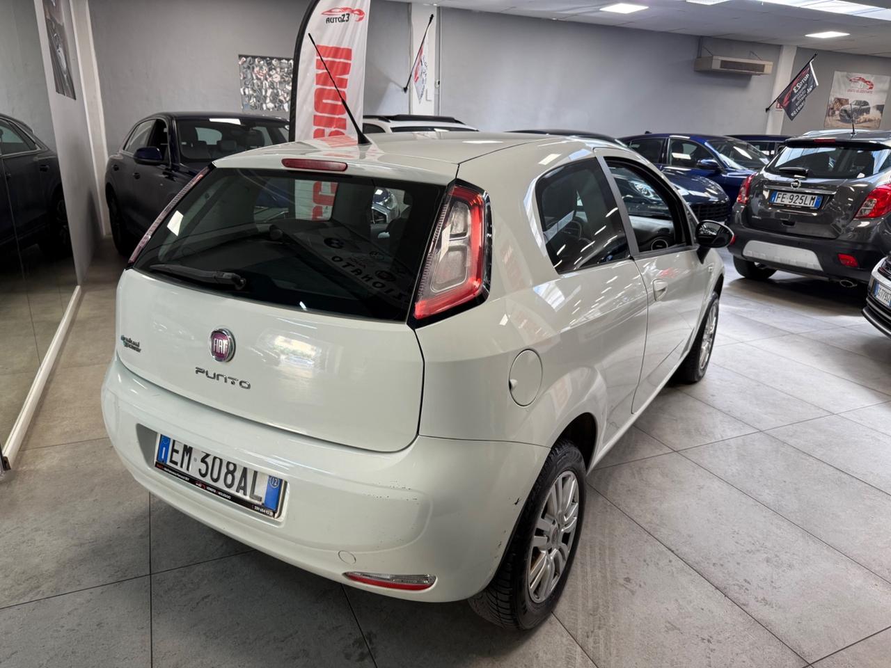 Fiat Punto Evo 1.4 3P. Dynamic Natural Power Ok Neopatentati