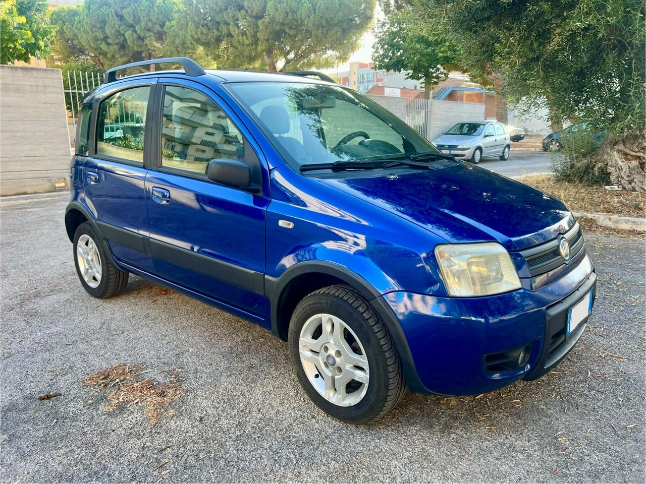 Fiat Panda 1.2 Climbing Natural Power