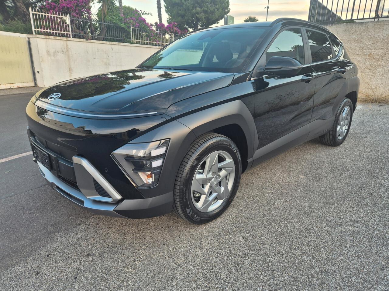 Kona 1.0 T-GDI Business GPL