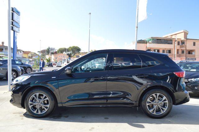 FORD Kuga 1.5 EcoBlue 120 CV 2WD ST-Line Automatica