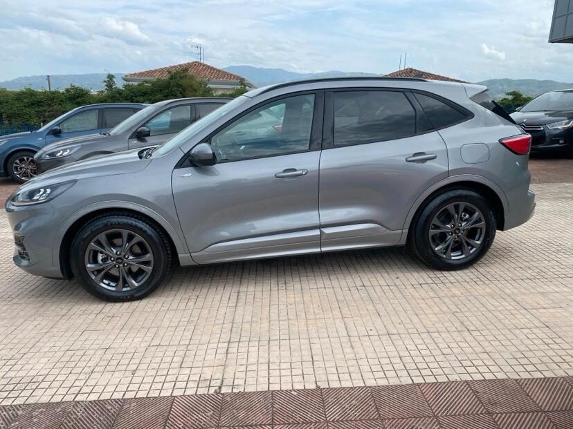 Ford Kuga 2.0 EcoBlue 120 CV aut. 2WD ST-Line