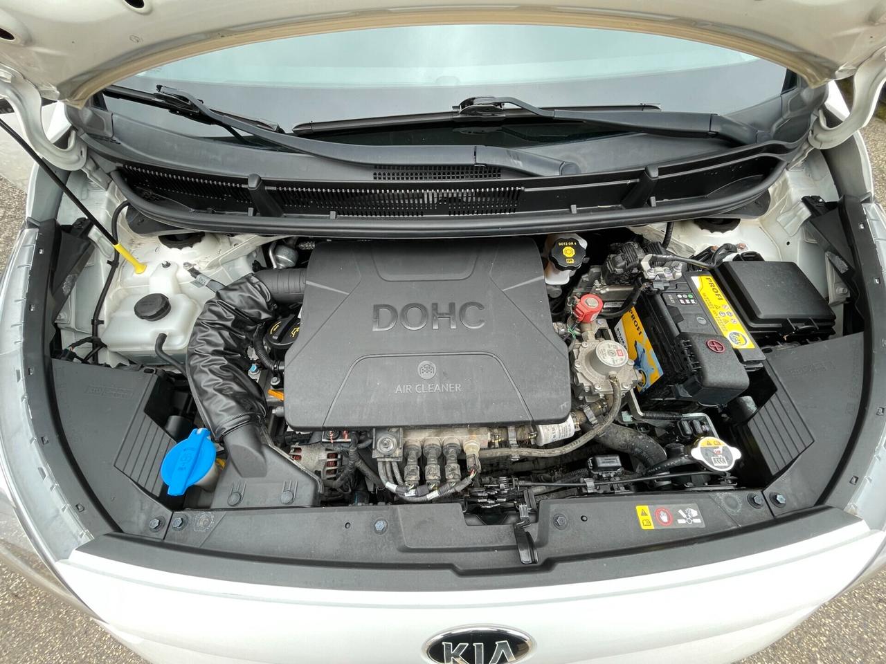 Kia Picanto 1.0 12V EcoGPL 5 porte Cool