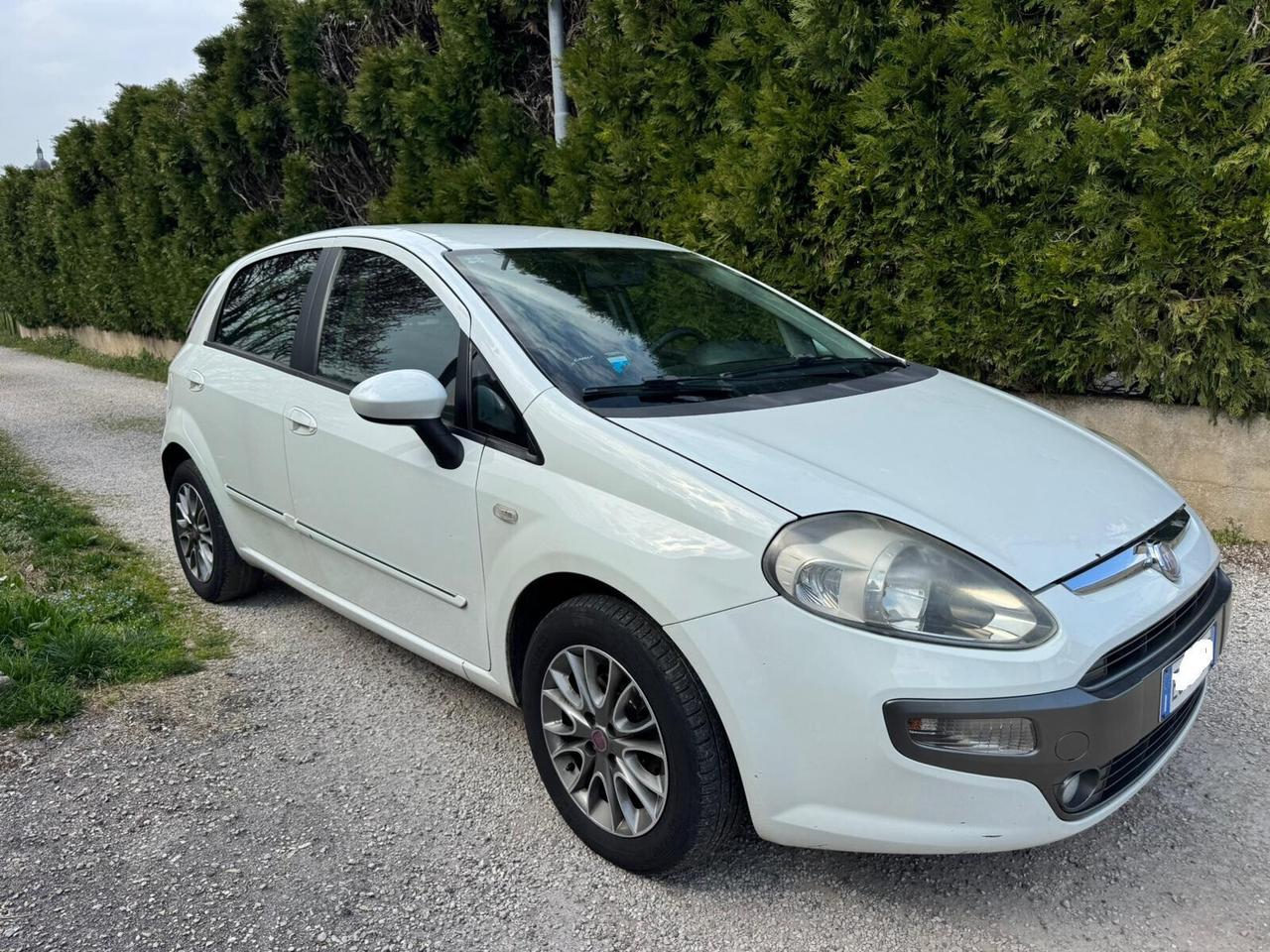 Fiat Punto Evo 1.3 Mjt 75 CV 5 porte Dynamic