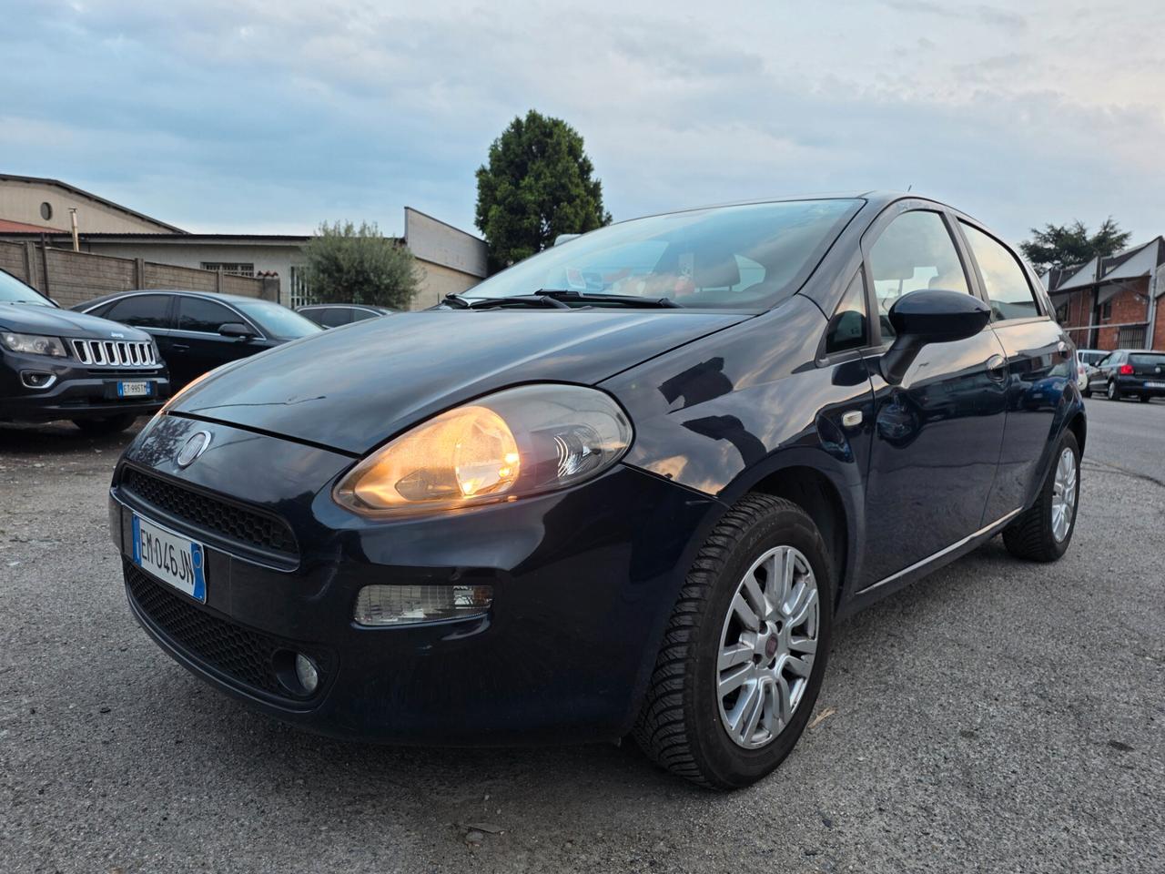 Fiat Punto Evo 1.4 5 porte Dynamic EasyPower