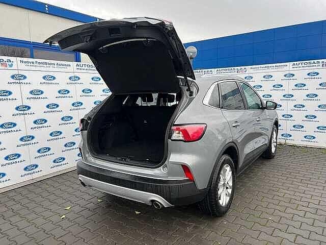 Ford Kuga 1.5 EcoBlue 120 CV 2WD Titanium