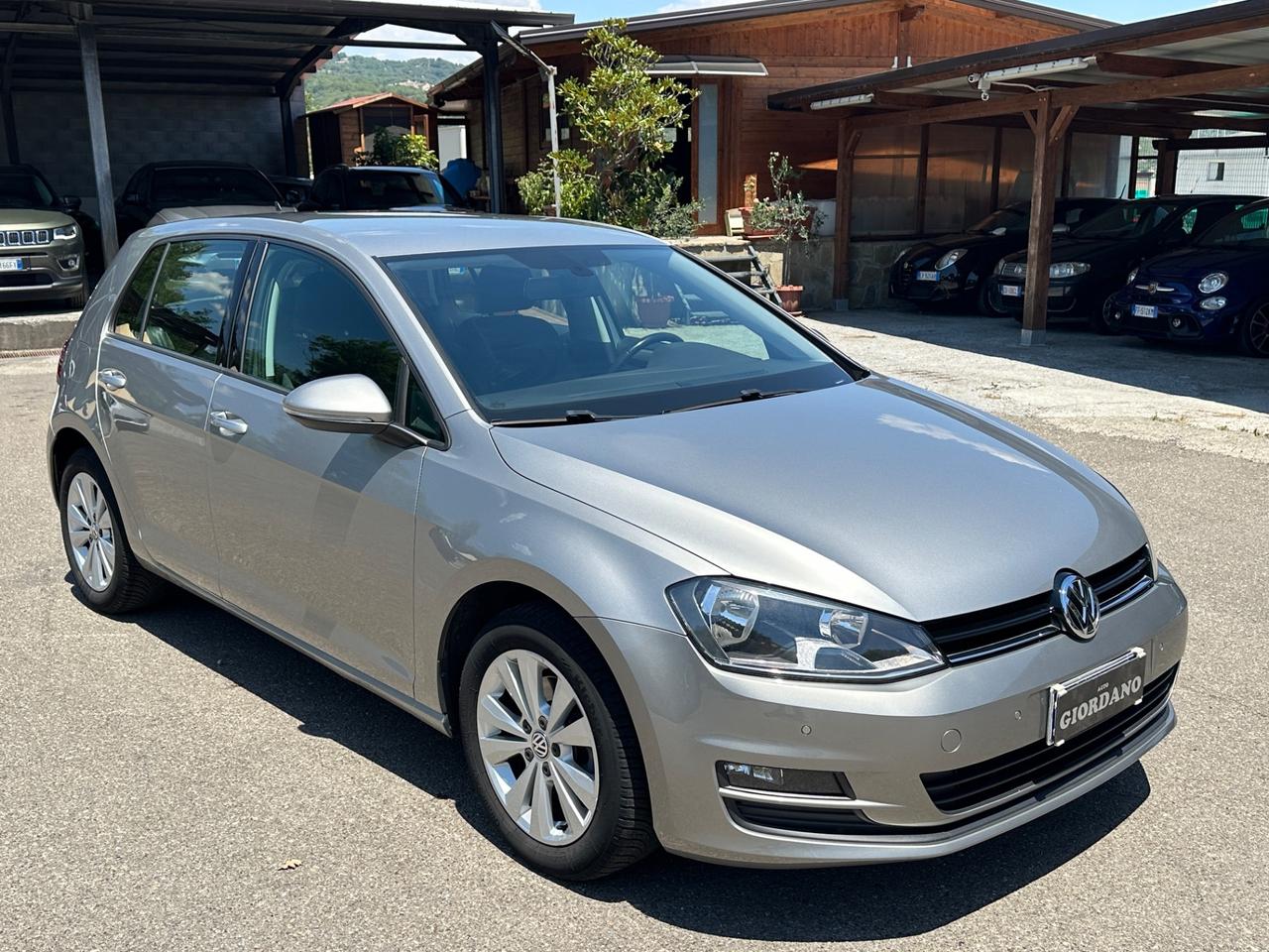 Volkswagen Golf 7 1.6 TDI 110 CV BlueMotion Technology