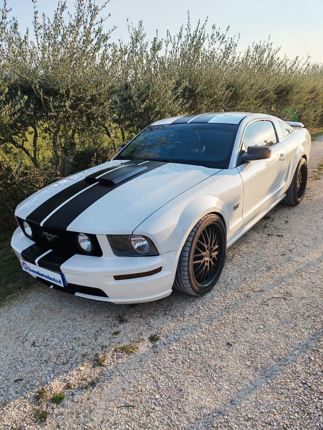 Mustang Ford GT 350 Shelby