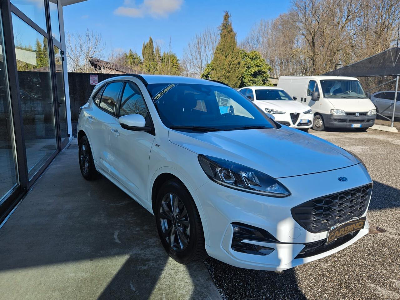 Ford Kuga 1.5 EcoBlue 120 CV 2WD ST-Line