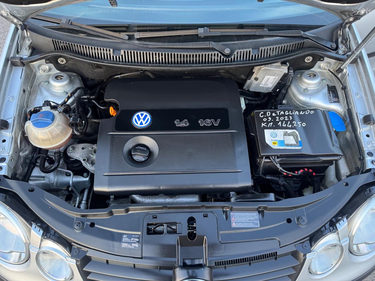 Volkswagen Polo idonea anche ai neopatentati