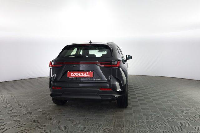 LEXUS Other NX NX Hybrid 4WD Business