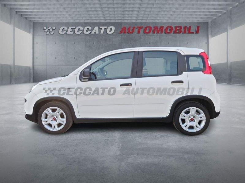 FIAT Panda Panda 1.0 firefly hybrid s&s 70cv
