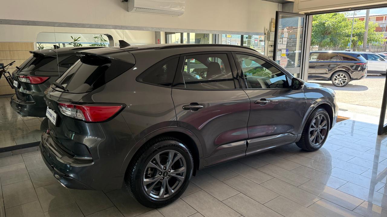 Ford Kuga 2.0 EcoBlue 120CV ST LINE