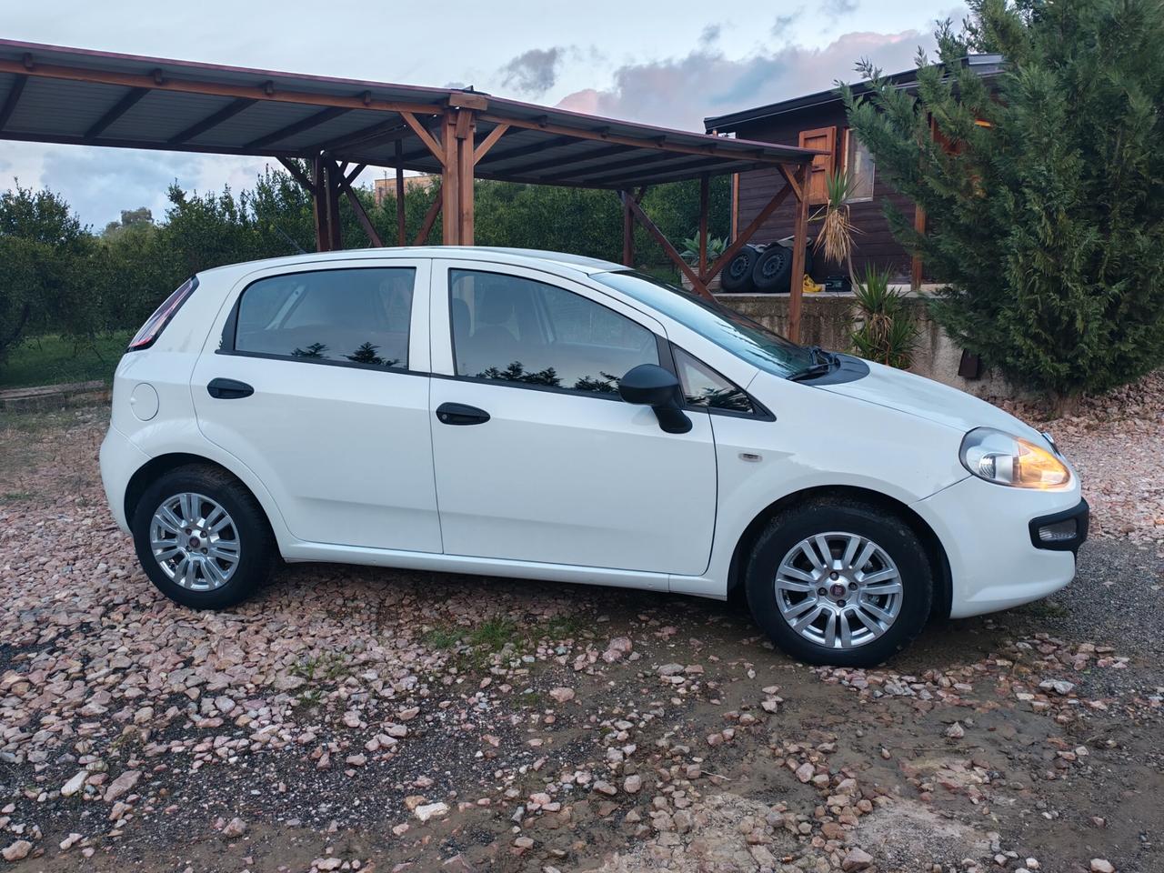 Fiat Punto Evo 1.3 Mjt 75 CV DPF 5 porte S&S Blue&Me