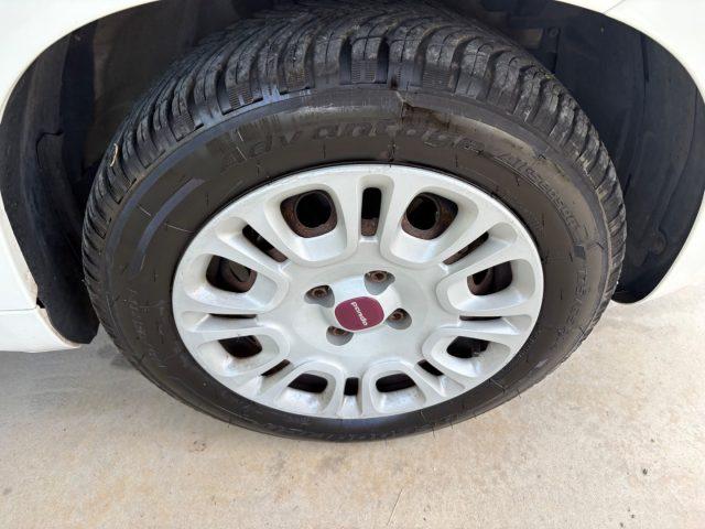 FIAT Panda 1.2 Easy EURO 5 BENZ OK NEOPATENTATI PRONTA CONS.