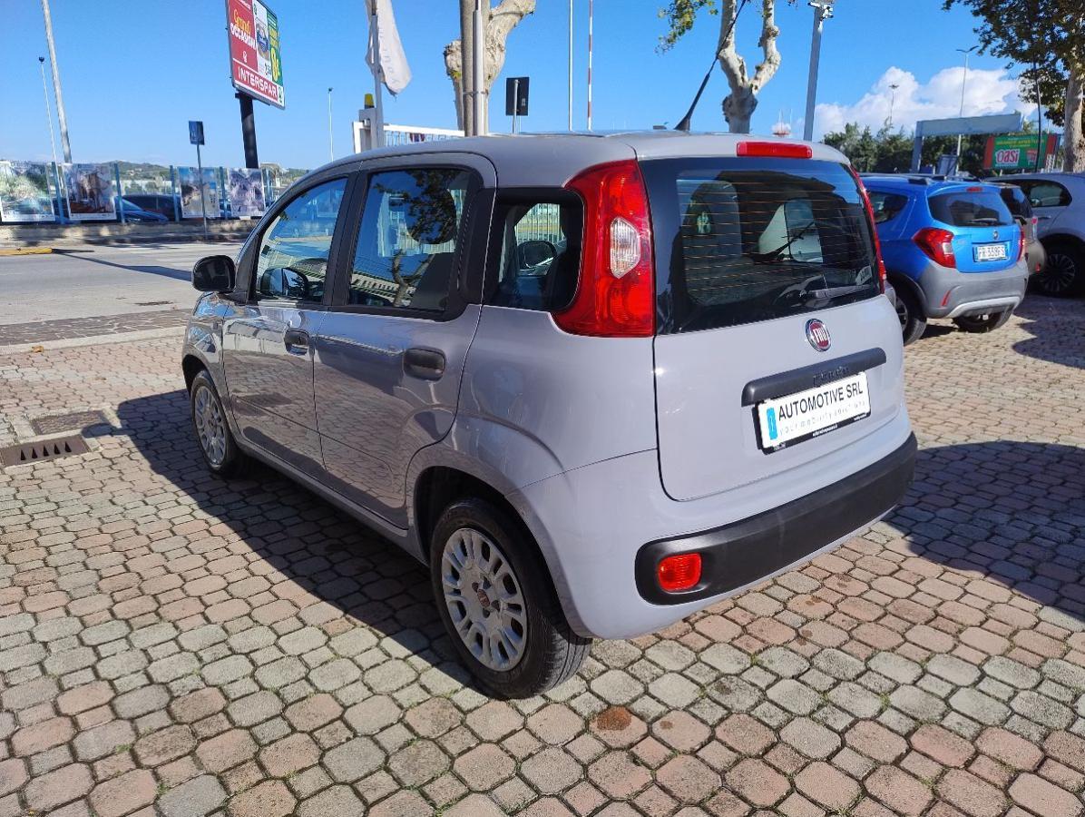 FIAT - Panda - 1.2 Easy