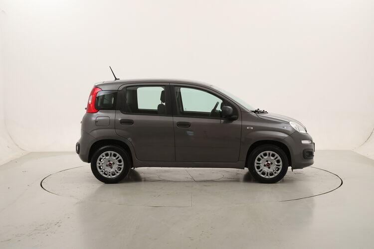 Fiat Panda Easy BZ622895 1.2 Benzina 69CV