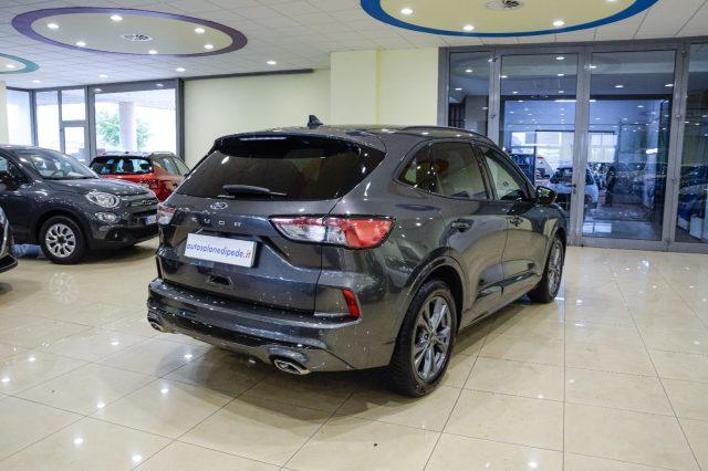 FORD Kuga 1.5 EcoBlue 120 CV 2WD ST-Line