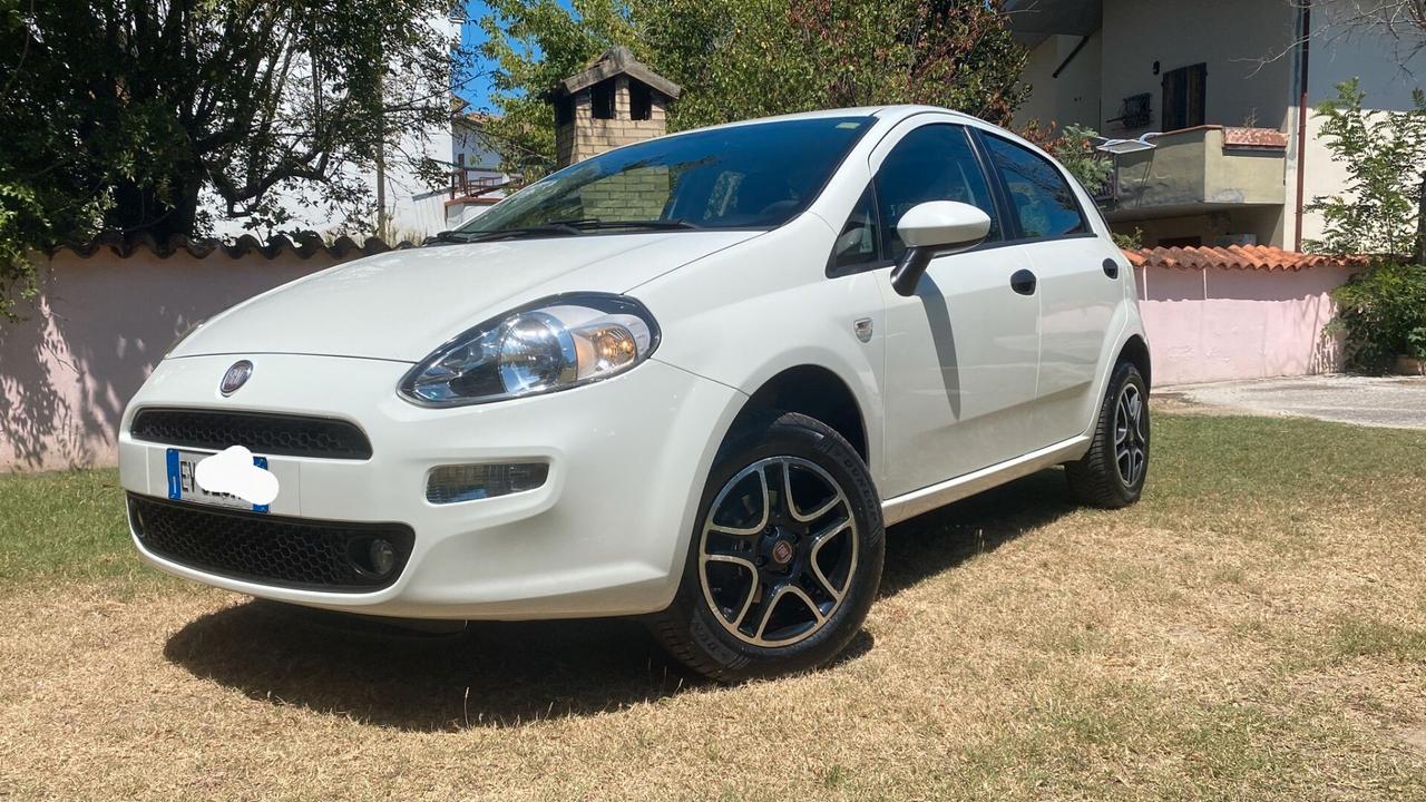 Fiat Punto 1.4 8V 5 porte Natural Power Street