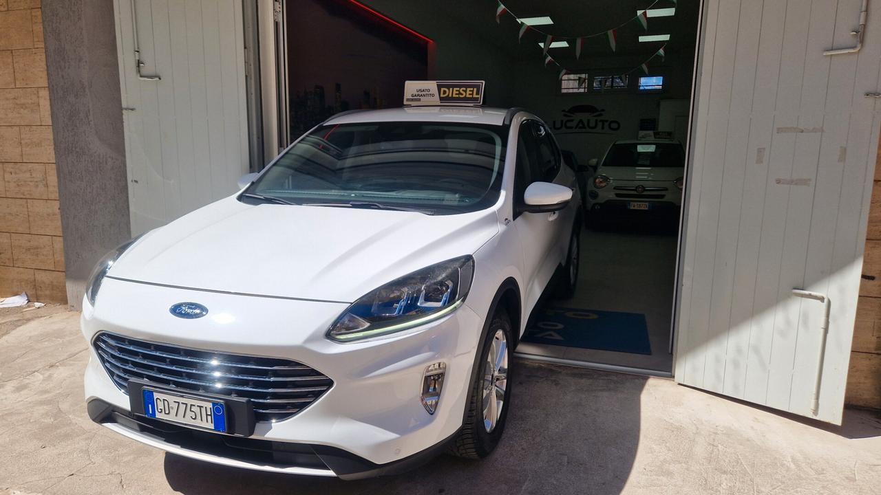 Ford Kuga 1.5 EcoBlue 120 CV aut. 2WD Titanium Business